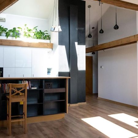 Loft W Centrum Gliwic Appartement Gliwice Buitenkant foto